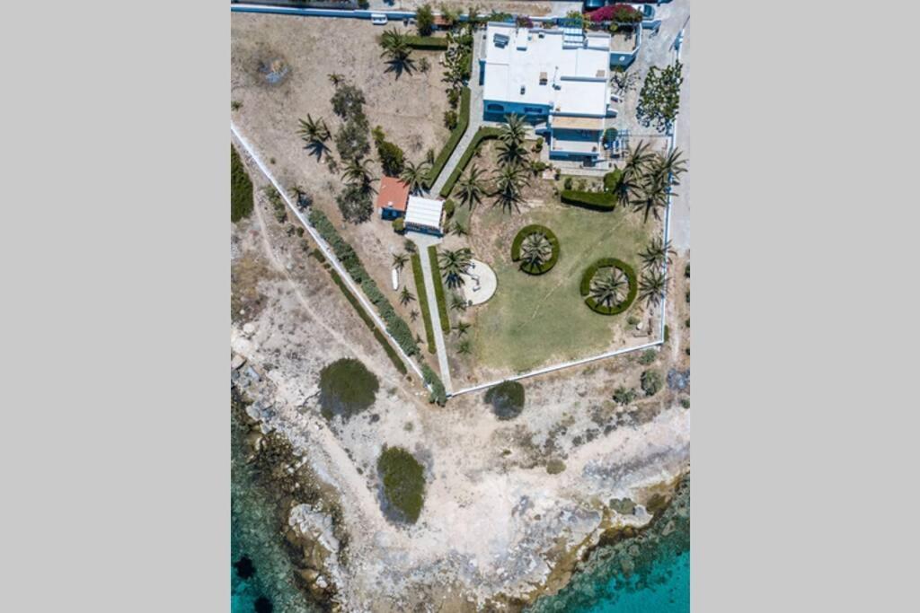Palmaya Villa, Unique Seafront Experience Vagia  المظهر الخارجي الصورة