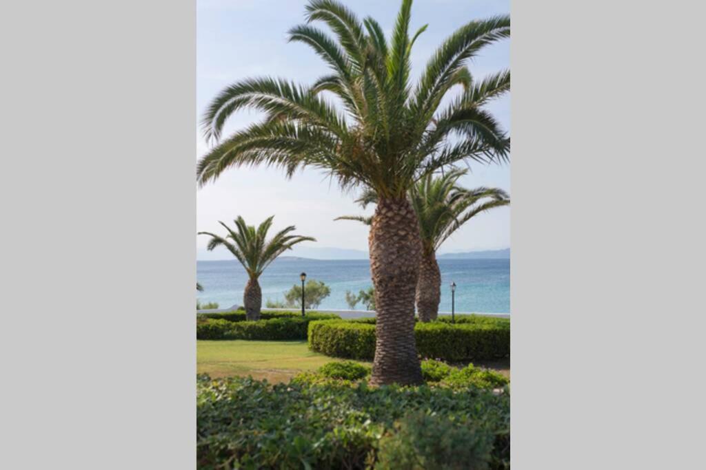 Palmaya Villa, Unique Seafront Experience Vagia  المظهر الخارجي الصورة