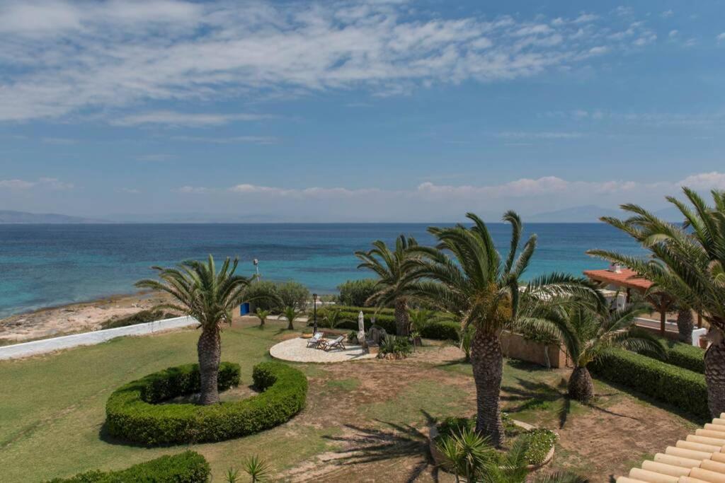 Palmaya Villa, Unique Seafront Experience Vagia  المظهر الخارجي الصورة