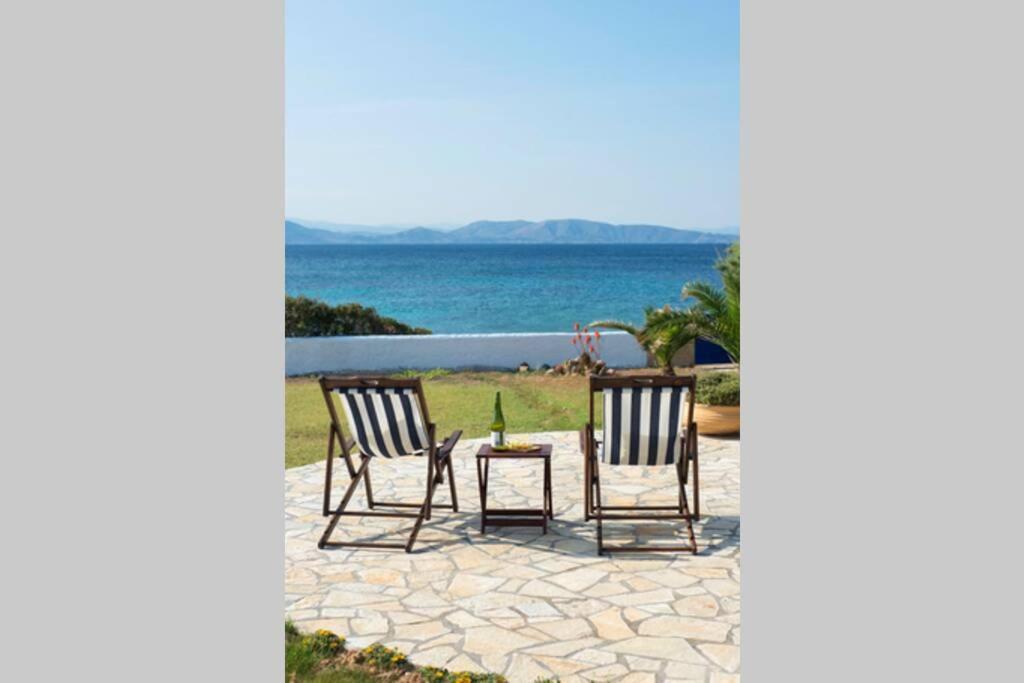 Palmaya Villa, Unique Seafront Experience Vagia  المظهر الخارجي الصورة