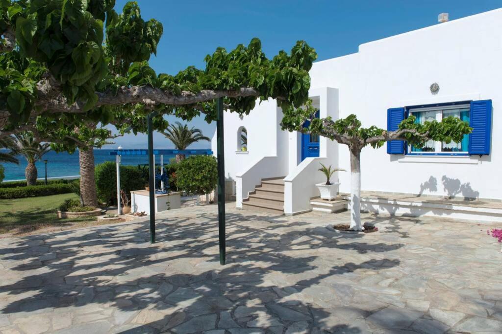 Palmaya Villa, Unique Seafront Experience Vagia  المظهر الخارجي الصورة
