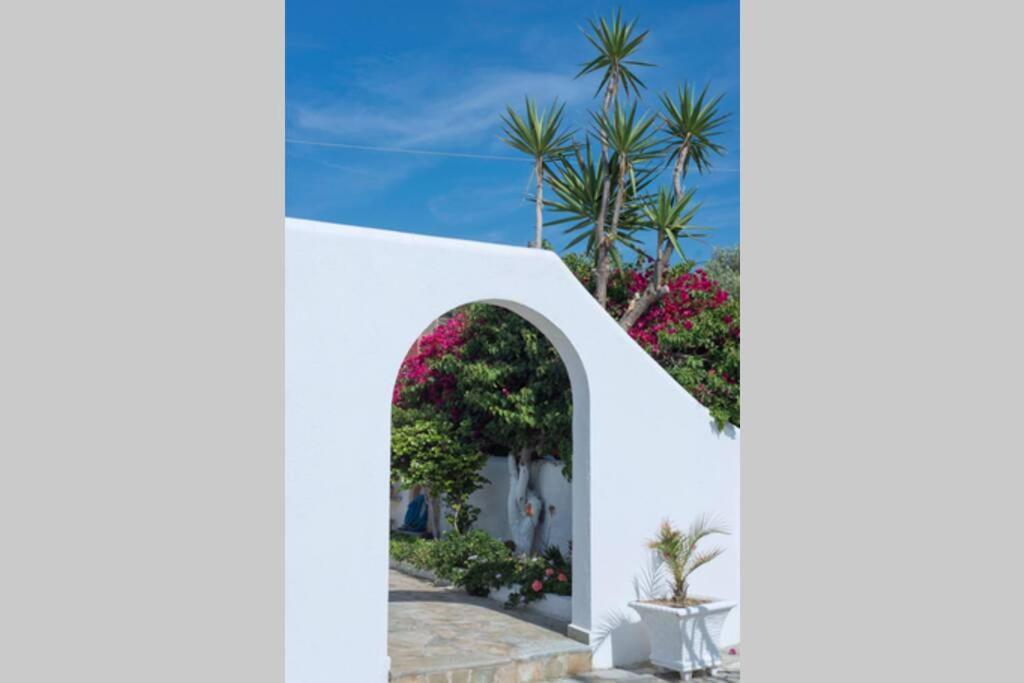 Palmaya Villa, Unique Seafront Experience Vagia  المظهر الخارجي الصورة