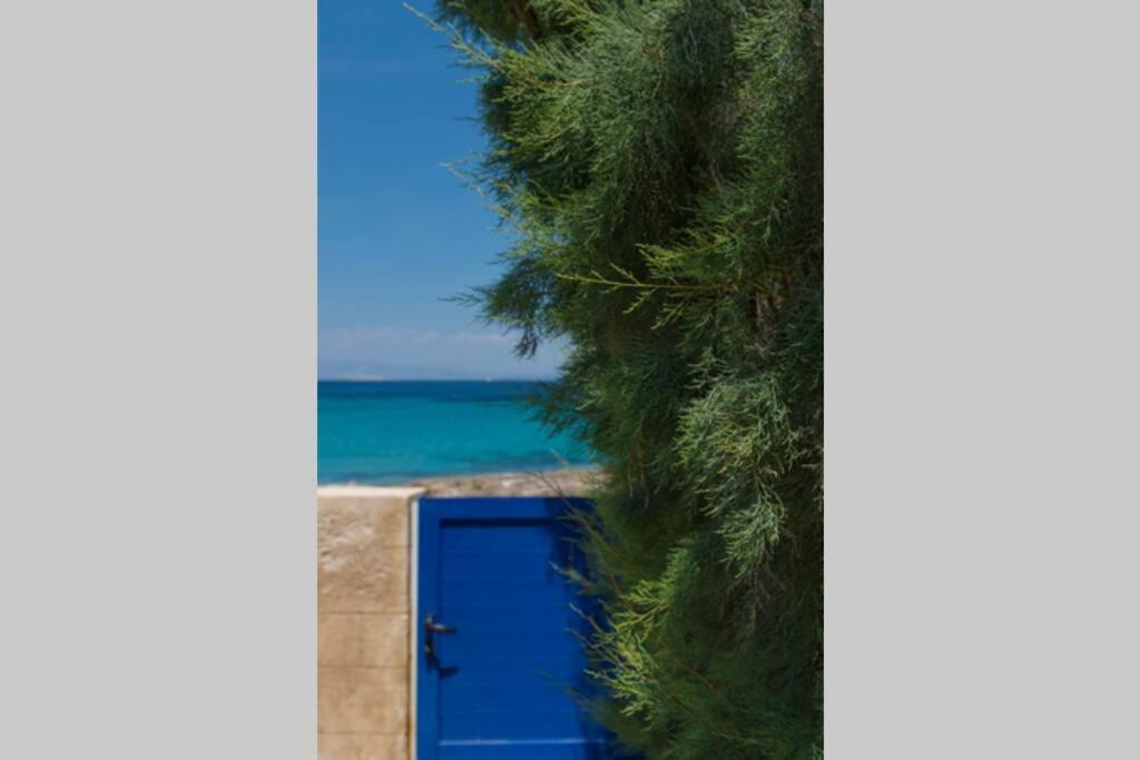 Palmaya Villa, Unique Seafront Experience Vagia  المظهر الخارجي الصورة