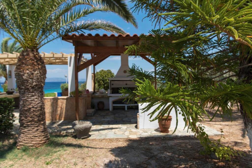 Palmaya Villa, Unique Seafront Experience Vagia  المظهر الخارجي الصورة