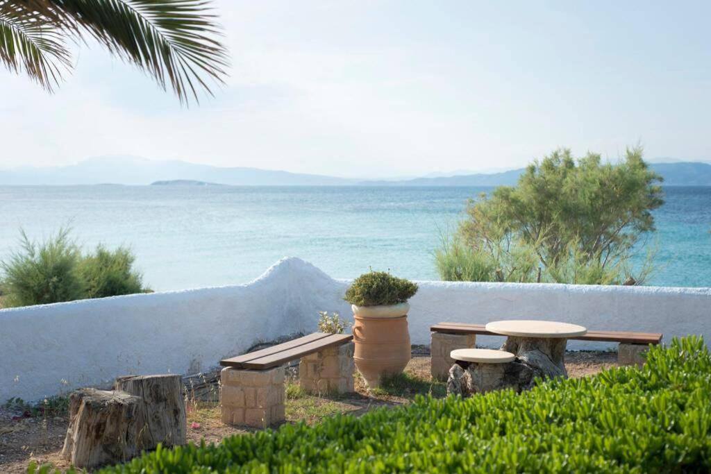 Palmaya Villa, Unique Seafront Experience Vagia  المظهر الخارجي الصورة