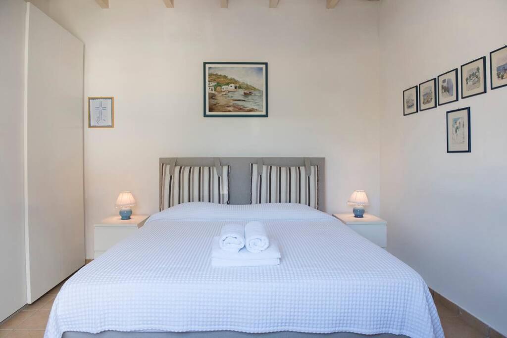 Palmaya Villa, Unique Seafront Experience Vagia  المظهر الخارجي الصورة